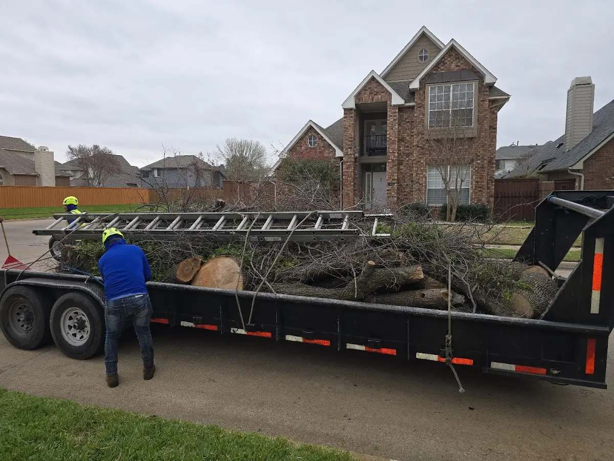 Expert Lot Clearing with proper safety equipment in Saint Charles